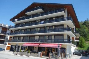 Гостиница Appartements Remointze, Вейзонна